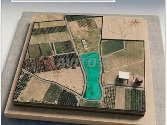 Propriété vente à Agadir, Oued ed Dahab-Lagouira