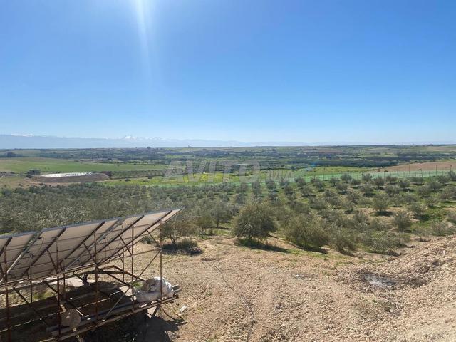 Propriété vente à Chichaoua, L'Oriental