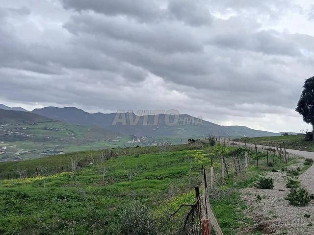 Propriété vente à Tétouan, Tanger-Tétouan