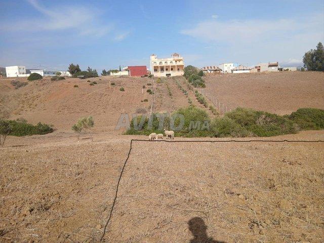 Propriété vente à Tangero, Tanger-Tétouan