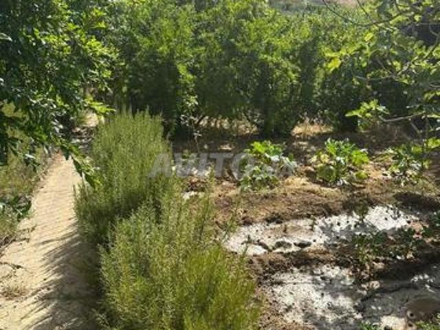 Propriété vente à Tangero, Tanger-Tétouan