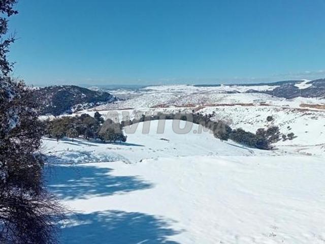 Propriété vente à Ifrane