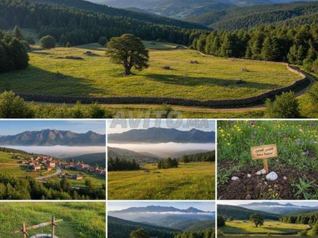 Propriété vente à Ifrane