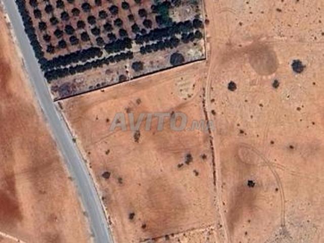 Propriété vente à Selouane