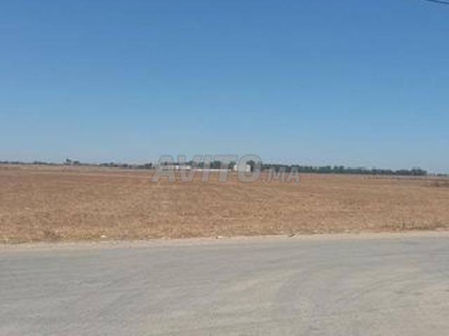 Propriété vente à Berrechid, Gharb-Chrarda-Beni Hssen