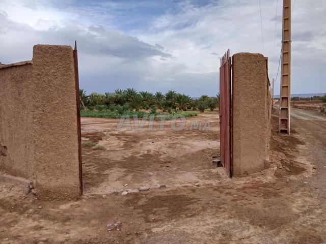 Propriété vente à Zagora