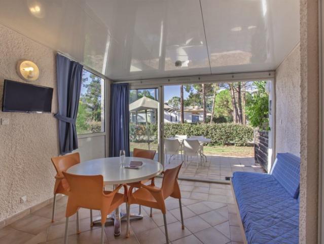Appartement vente à Corte, Scolca