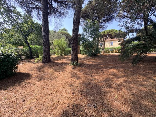 Maison vente à Arrondissement de Draguignan, Sainte-maxime