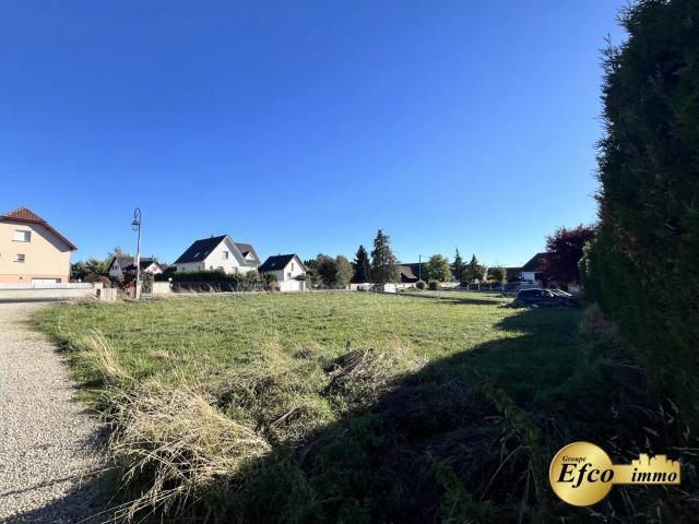 Terrain vente à Wahlbach, Collectivité européenne d'Alsace