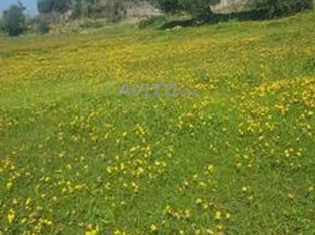 Propriété vente à Tétouan, Tanger-Tétouan