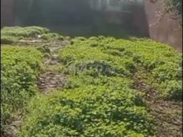 Propriété vente à Anfa, Gharb-Chrarda-Beni Hssen