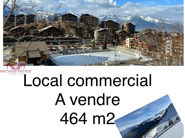 Büro kaufen in Baar, Nendaz, Wallis