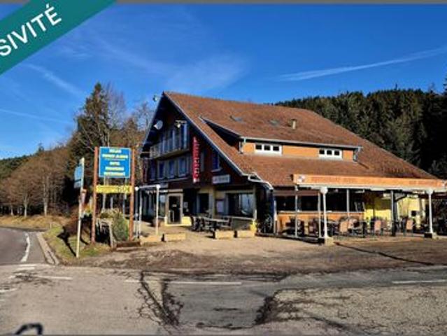 Local Commercial vente à Saint-Dié-des-Vosges, Plainfaing