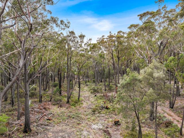 Property for sale in St Helens, Tasmania