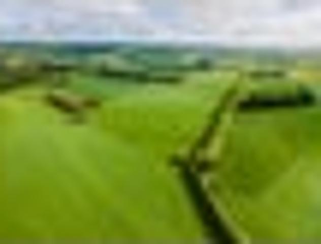 Land for sale in Gleniti, Canterbury