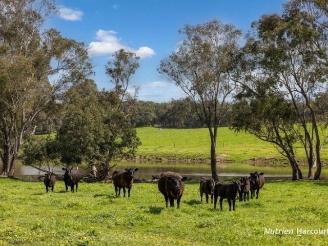 Property for sale in Manjimup, Shire Of Manjimup