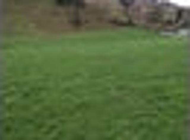 Land for sale in Waikato
