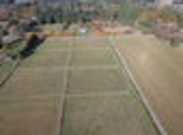 Land for sale in Waimate