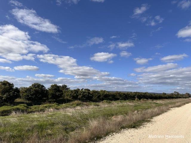 Property for sale in Harvey, Western Australia