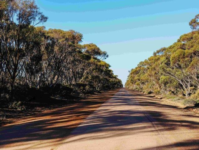 Cottage for sale in Salmon Gums, Western Australia