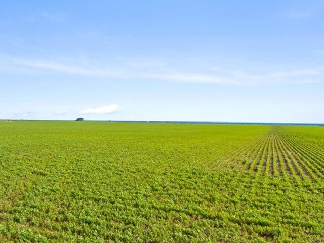 Cottage for sale in Maitland, South Australia