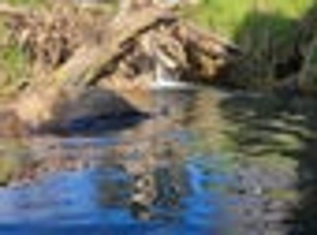 Land for sale in Fairburn, Northland