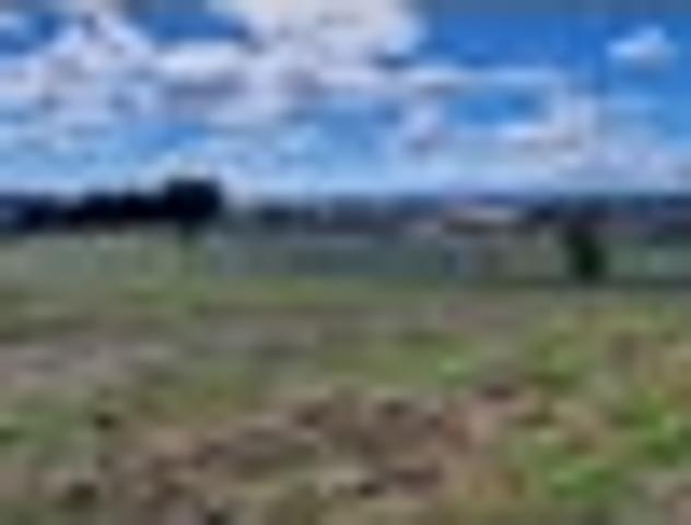 Land for sale in Onewhero, Auckland