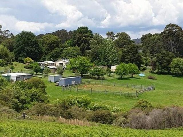 Cottage for sale in Clouds Creek, New South Wales