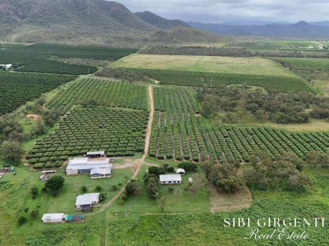 Cottage for sale in Dimbulah, Queensland
