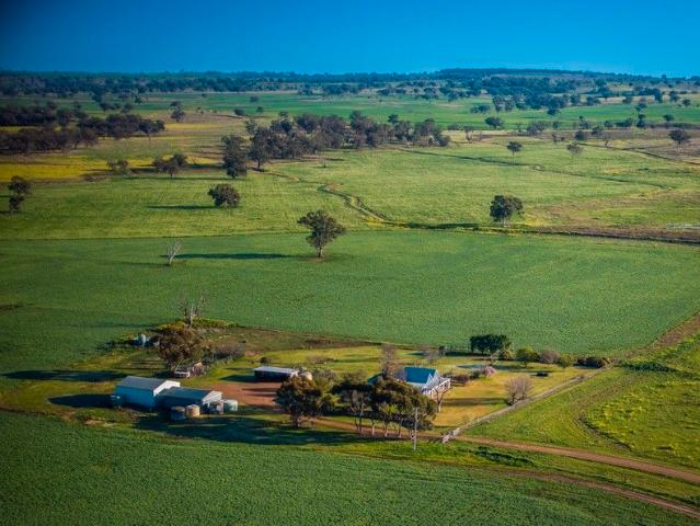 Cottage for sale in Purlewaugh, New South Wales