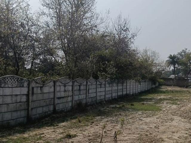 Land for sale in Lakhana, Arunachal Pradesh