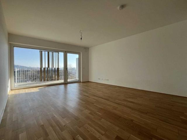 Apartment mieten in Katastralgemeinde Baierdorf, Graz
