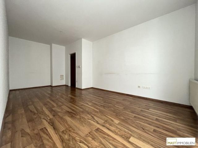 Apartment mieten in Katastralgemeinde Hirtenberg, Hirtenberg