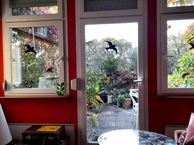 Apartment mieten in Raschala, Hollabrunn