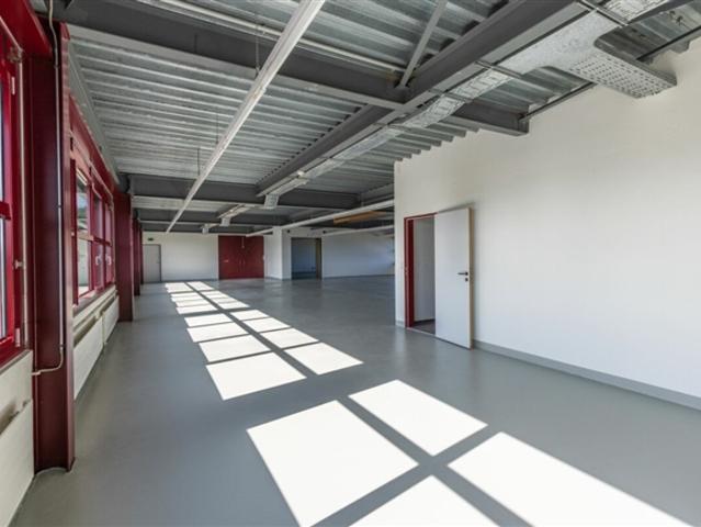 Atelier mieten in Staad (SG), St. Gallen