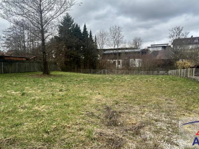 Immobilie kaufen in Bad Wimsbach-Neydharting, Oberösterreich