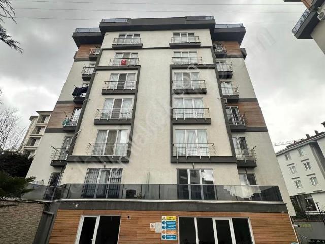 Pendik, İstanbul içerisinde kiralık mülk