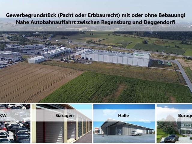 Erdgeschosswohnung kaufen in Steinach, Ortenaukreis