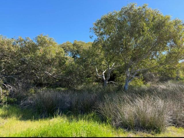 Cottage for sale in Western Australia