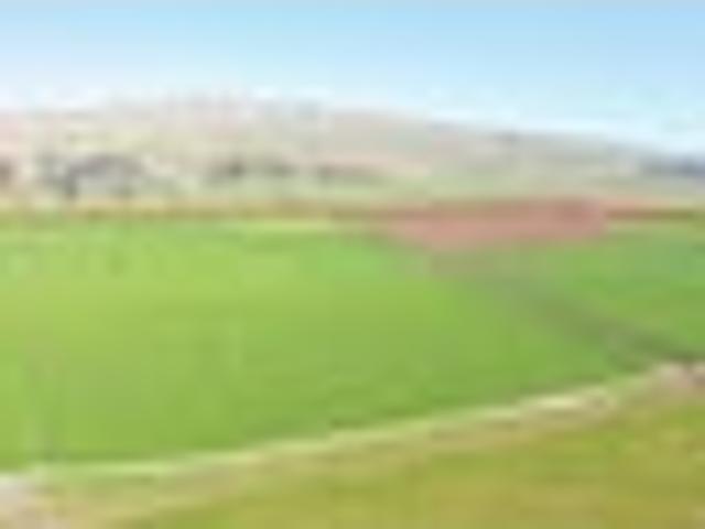 Land for sale in Hastings