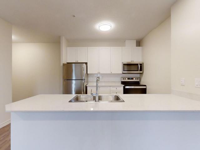 Apartment for rent in Arva, Ontario