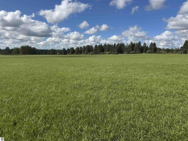 Land for sale in Hale, Plainfield Township