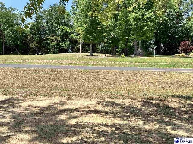 Land for sale in Chesterfield, South Carolina