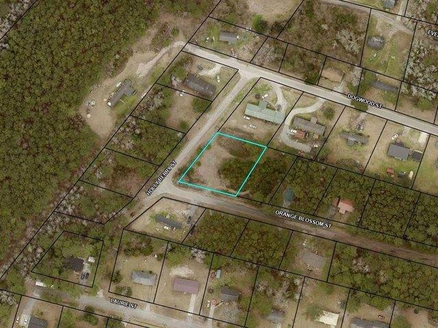 Land for sale in Andrews, South Carolina