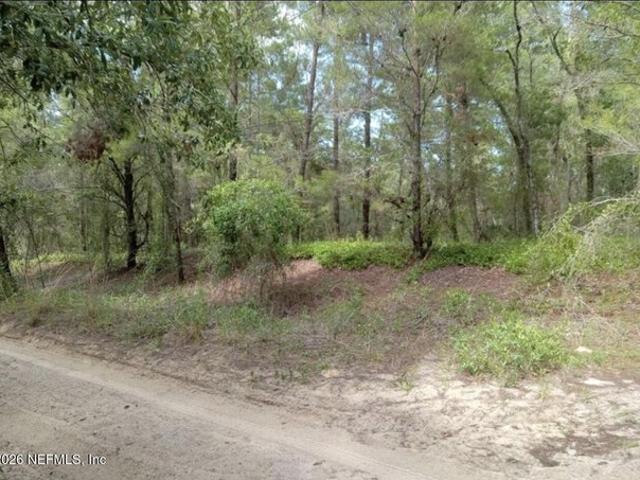 Land for sale in Pomona Park, Florida