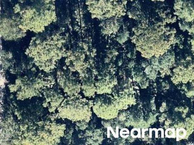 Land for sale in Florida