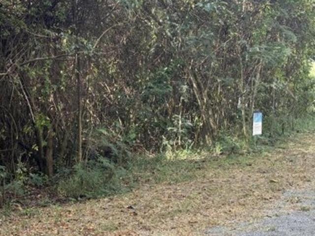 Land for sale