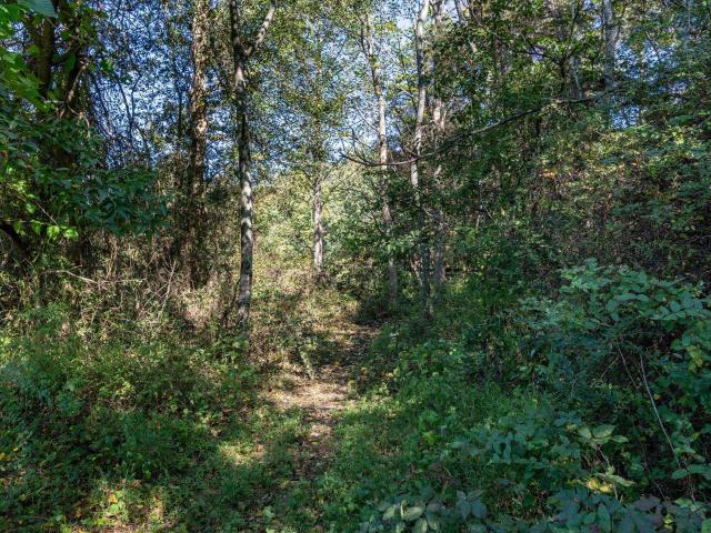 Land for sale in Virginia