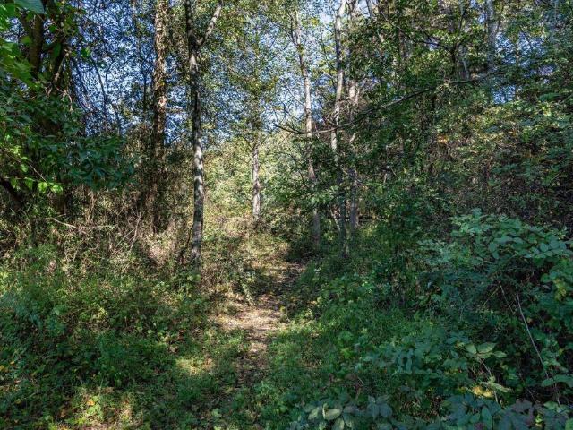 Land for sale in Virginia