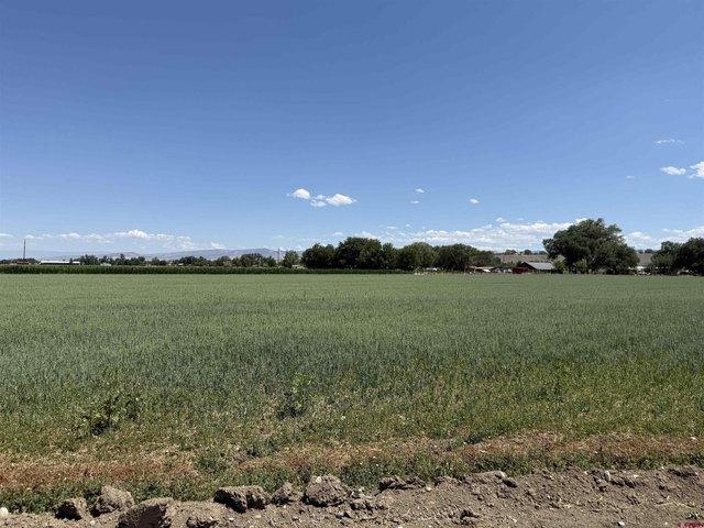 Land for sale in Montrose, Colorado